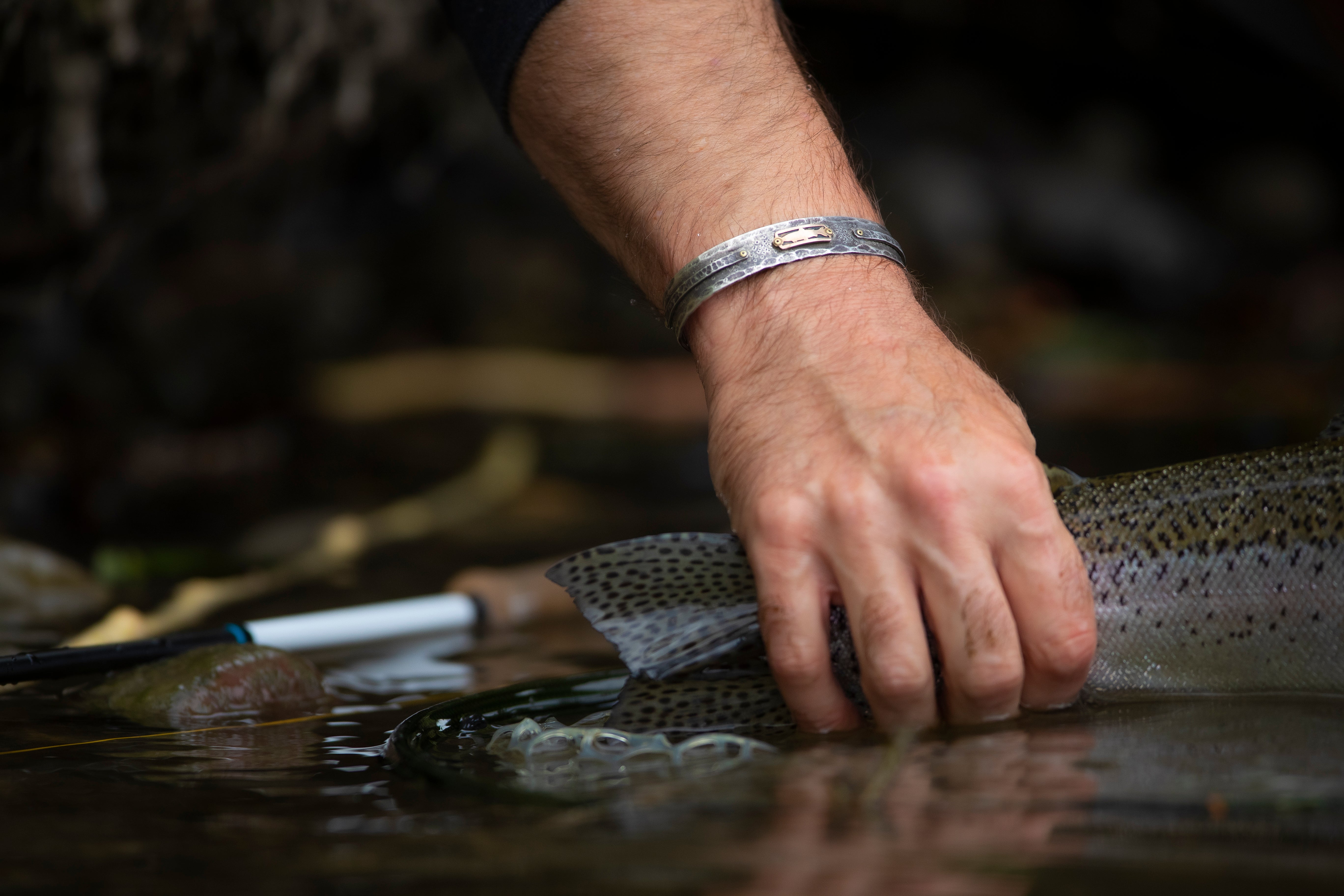 Bow River & Stillwater Fishing Report - April 27, 2025