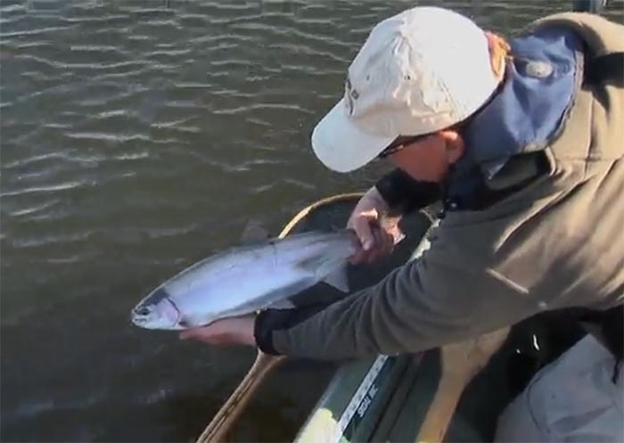 Presenting Flies To Stillwater Trout
