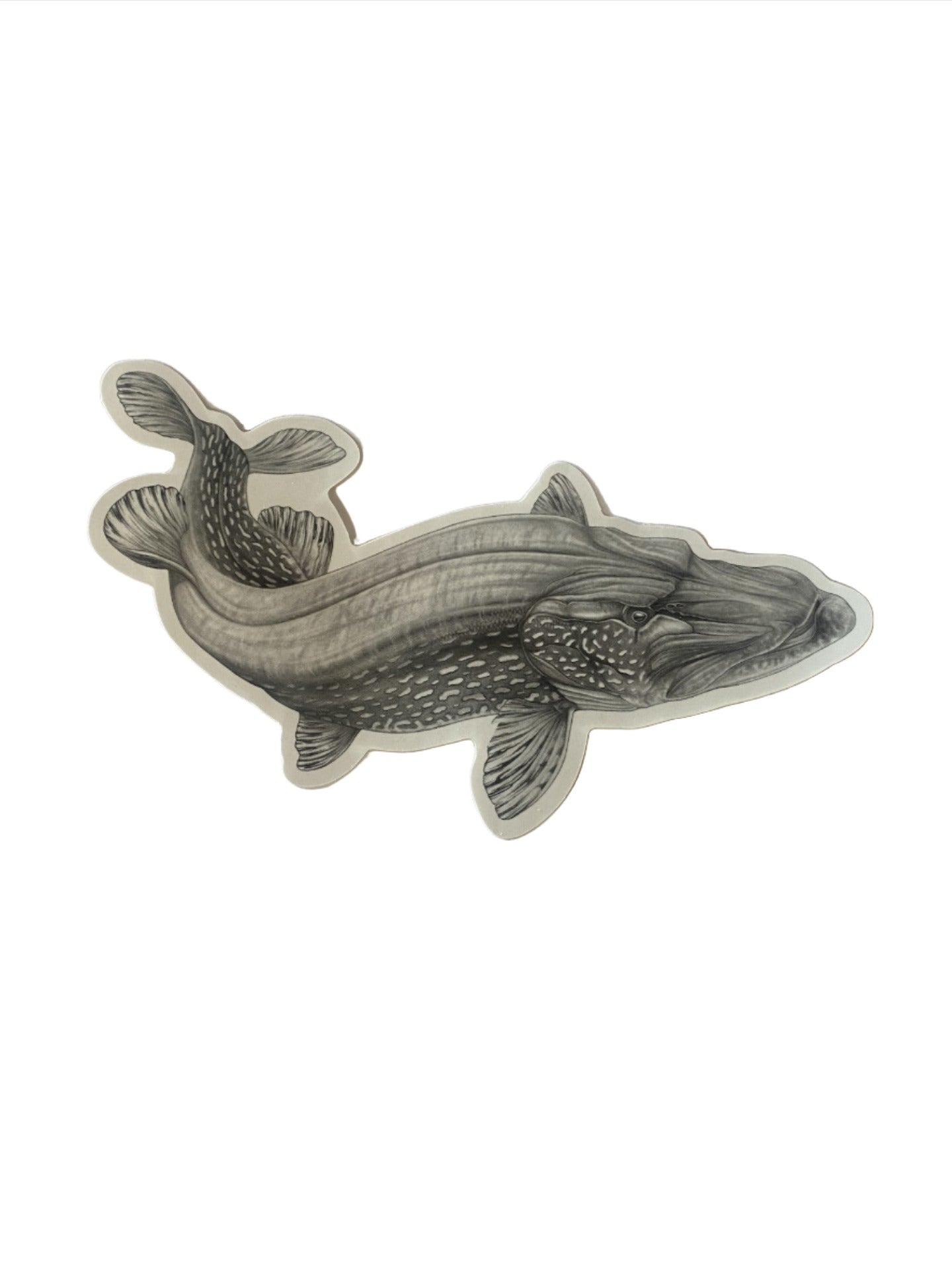Nick Laferriere Cruising Pike Sticker