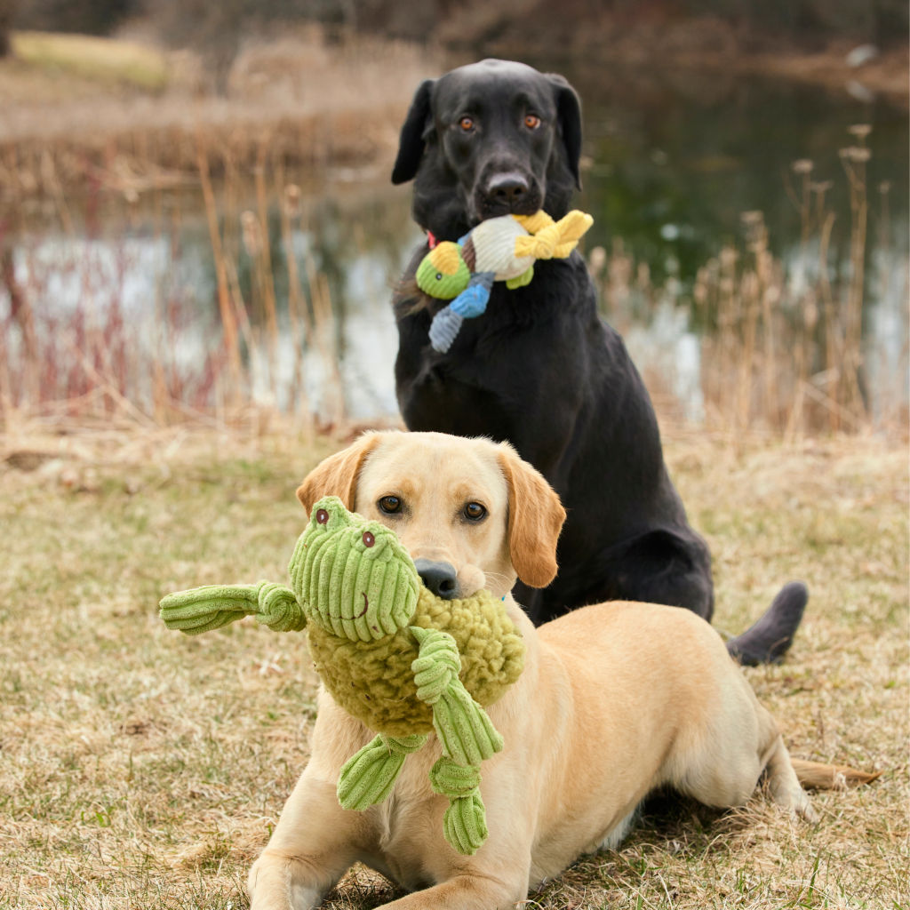 Orvis Animal Squeaky Toys