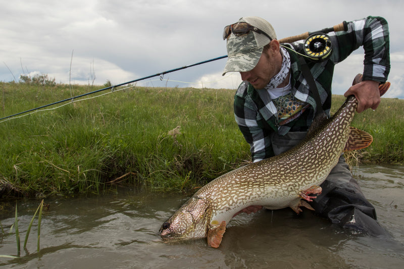 Pike on the Fly Gear Setup: Part 3 - Fly Rods