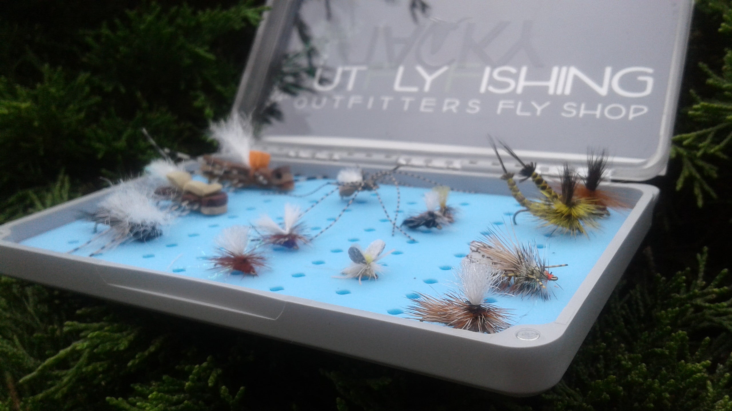 Dry Fly Fish Alberta's Eastern Slopes Starting June 16th