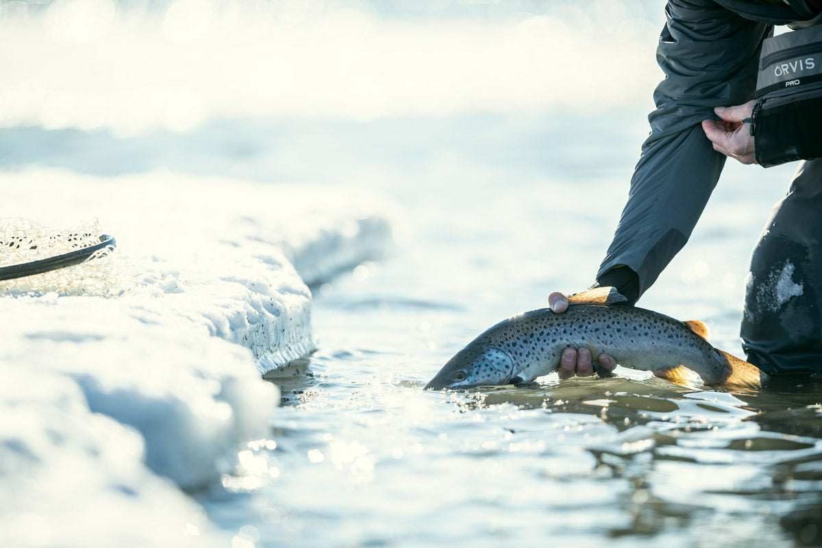 Top 10 Winter Flies for the Bow (and Similar Tailwater Trout Streams)
