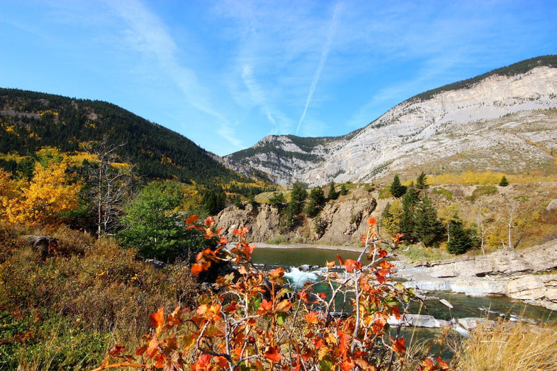 Ways to Take ACTION to Save Our Slopes