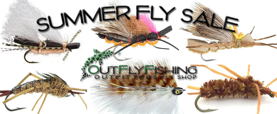 Summer Fly Sale!