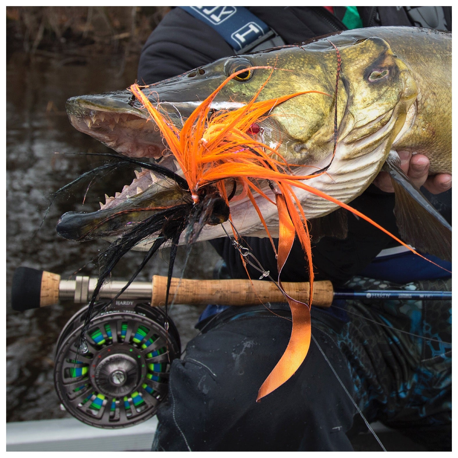 Wednesday at 7pm We're Tying Pike Flies Live with Local Tying Phenom Steve (Mr Elk) Luethi