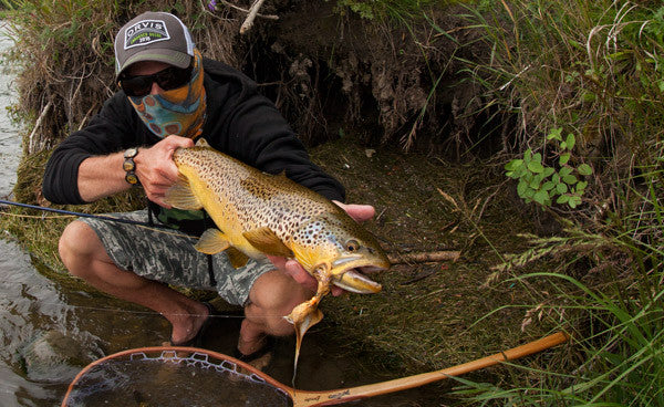 Bow River Fishing Report