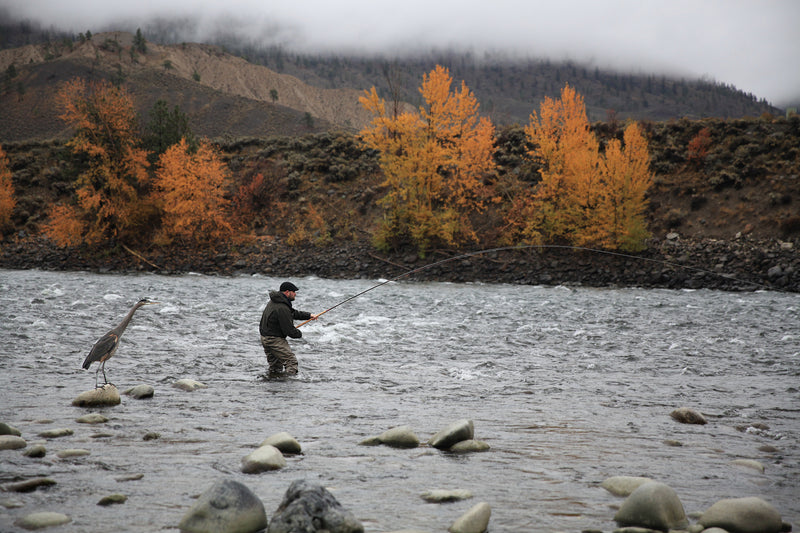 Spey Lines, Explained - June 6, 2025