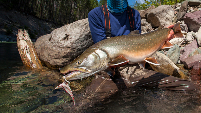 Top 10 Flies for Mountain Streams
