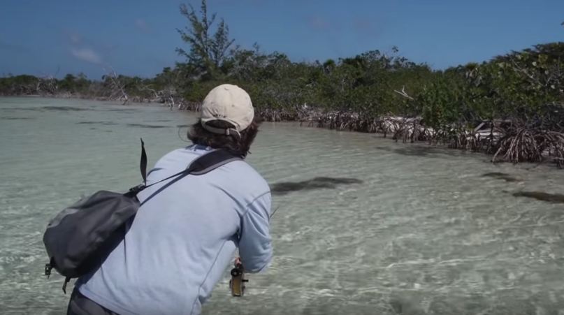 Basics of Inshore Saltwater Fly Fishing - Video Spotlight