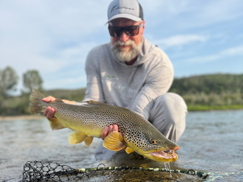Bow River Fishing Report - September 4, 2026