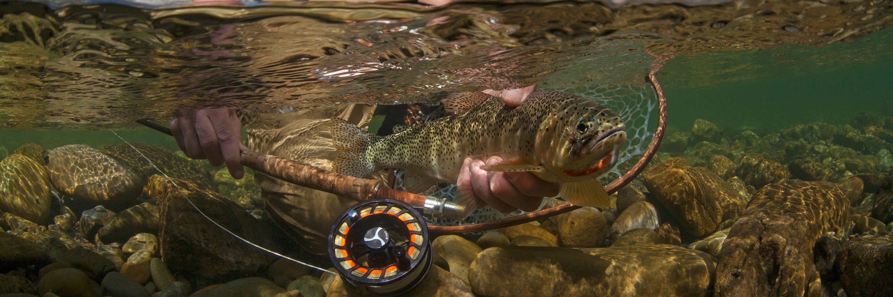 Fly Reels