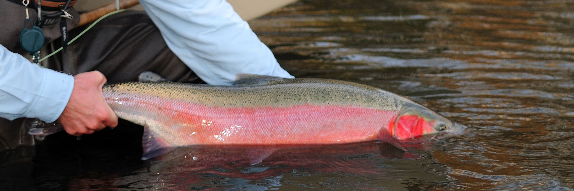 Rabbit Strip Steelhead Flies