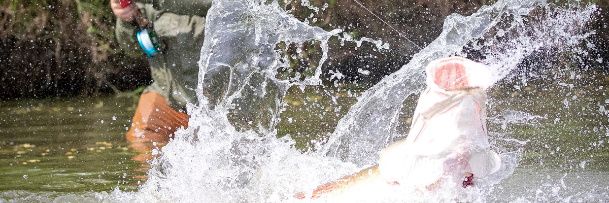 Arapaima Flies