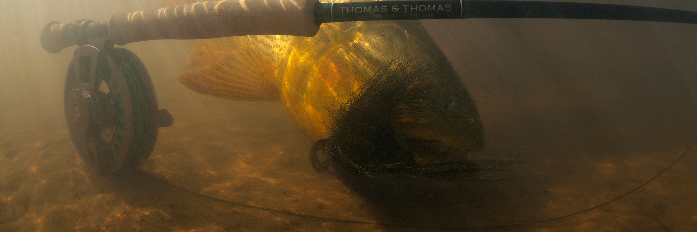 Golden Dorado Flies