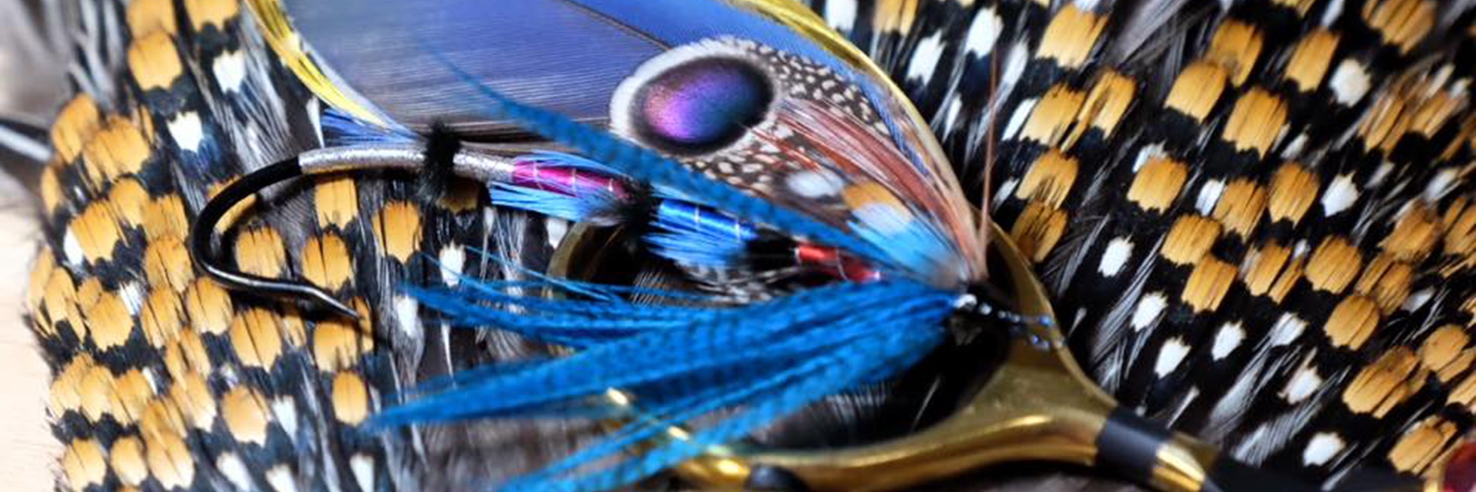 Out Fly Fishing