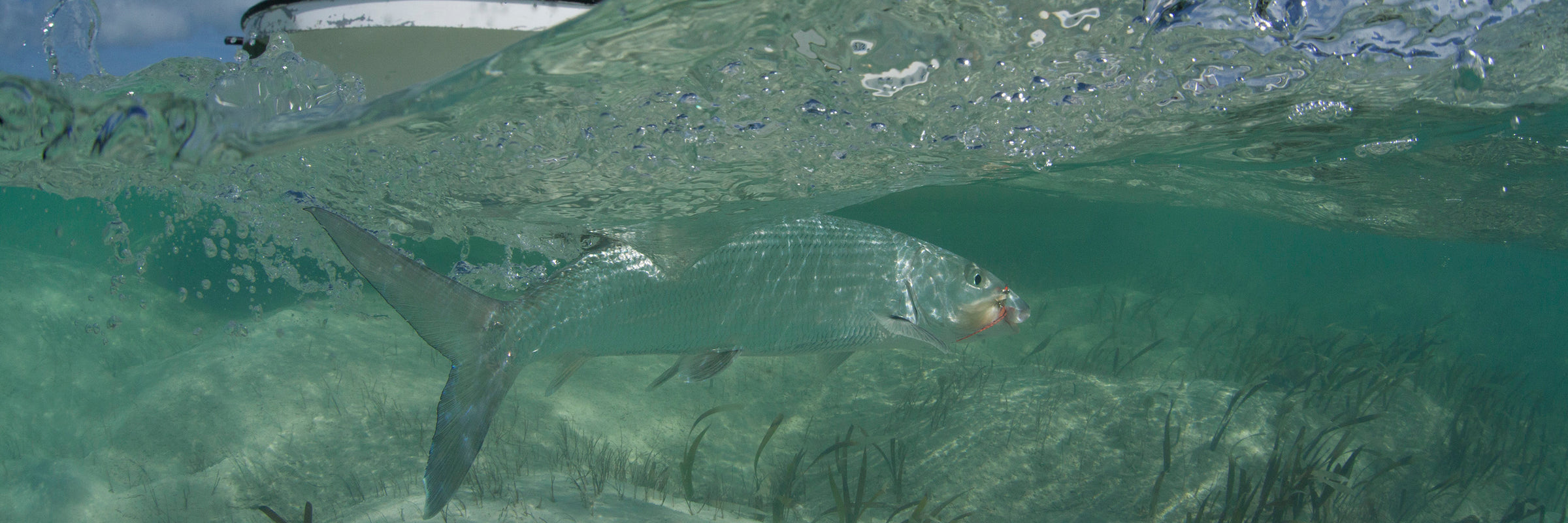 Bonefish Flies