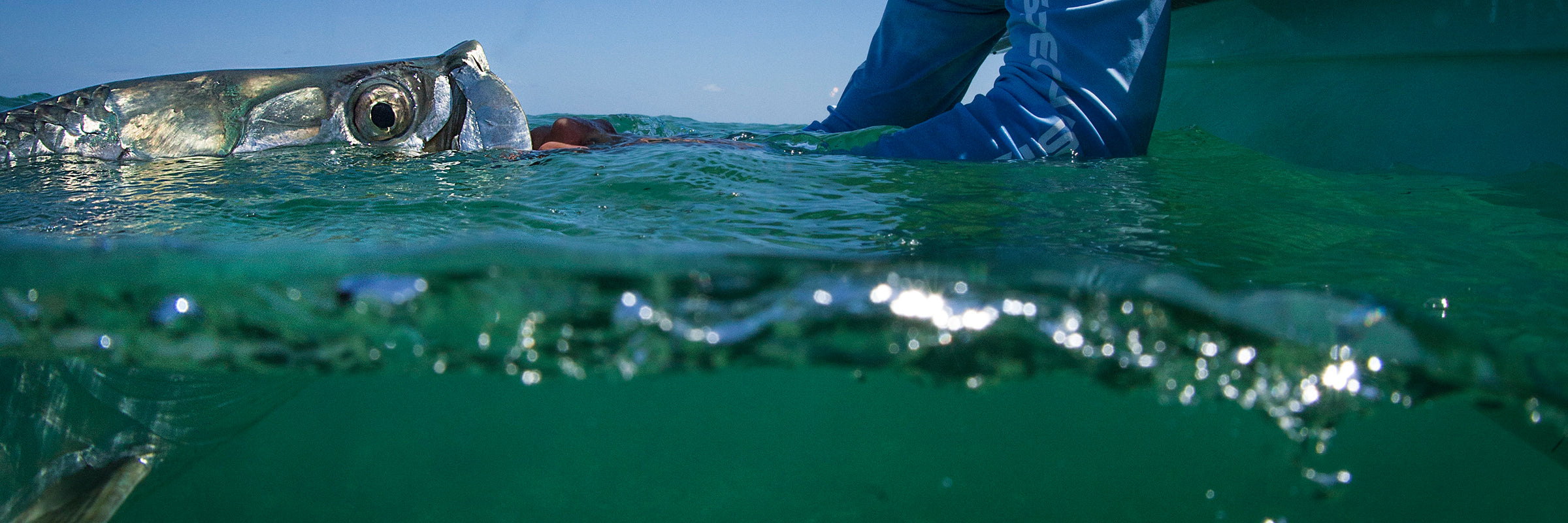 Tarpon Flies