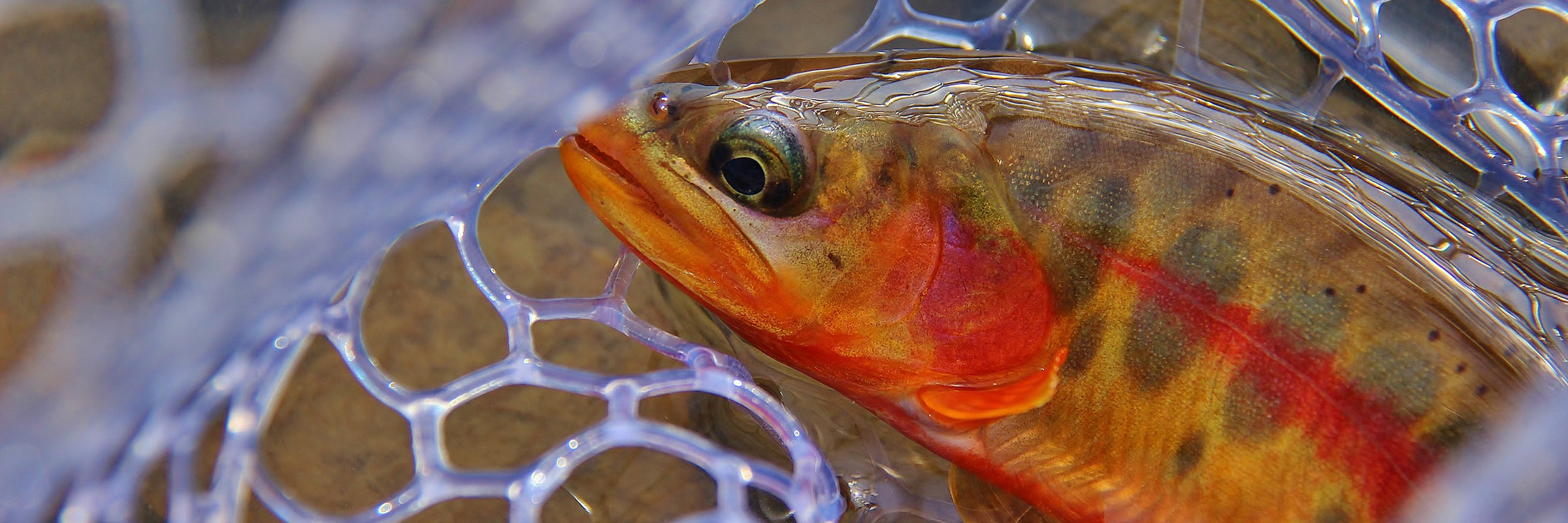 Replacement Net Bags & Accessories Out Fly Fishing Replacement Net Bags & Accessories Out Fly Fishing