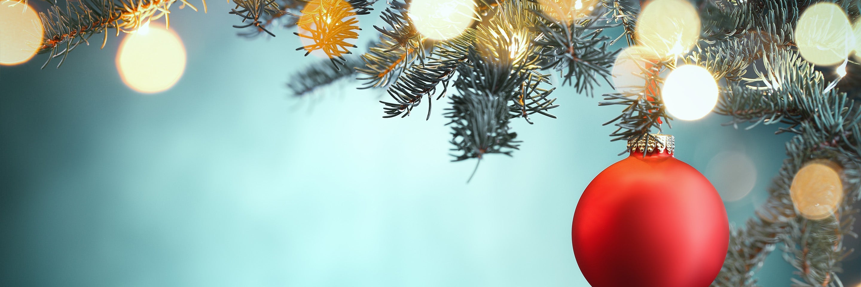 Christmas Gift Ideas Under $500