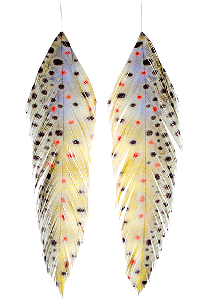MFC Galloup's Fish Feathers