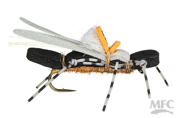 Water Walker Stonefly