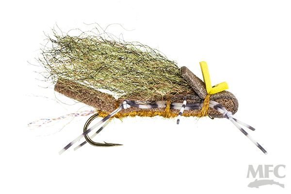 Fool's Gold Stonefly