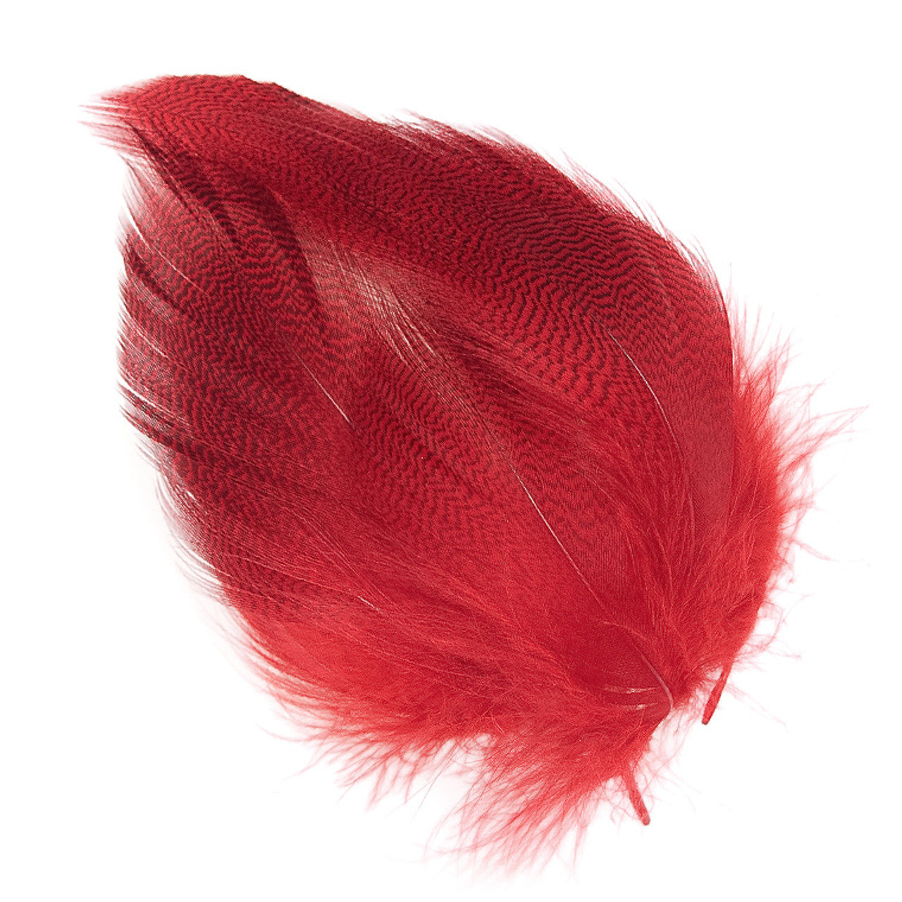 Wapsi Mallard Barred Flank