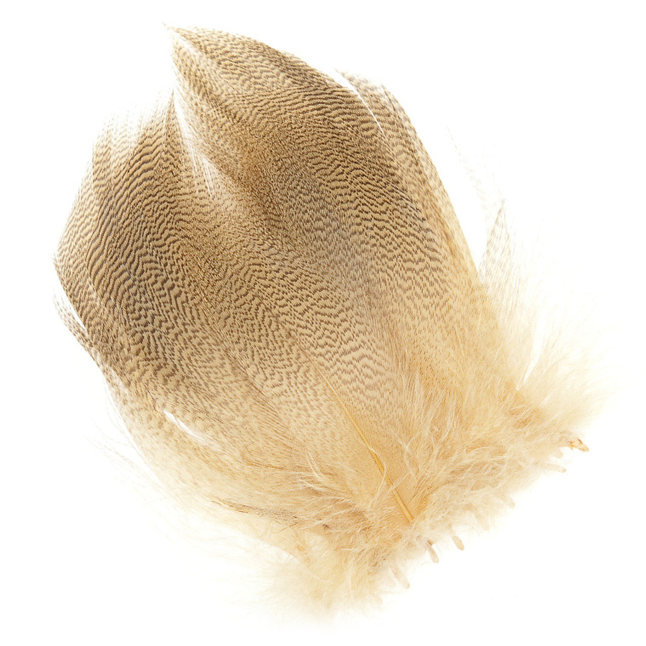Wapsi Mallard Barred Flank