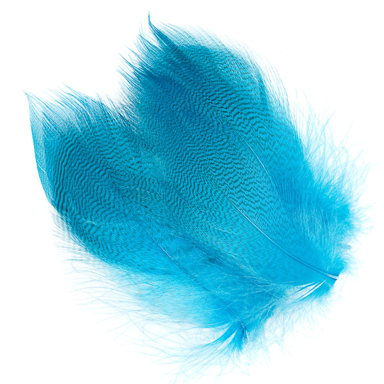 Wapsi Mallard Barred Flank