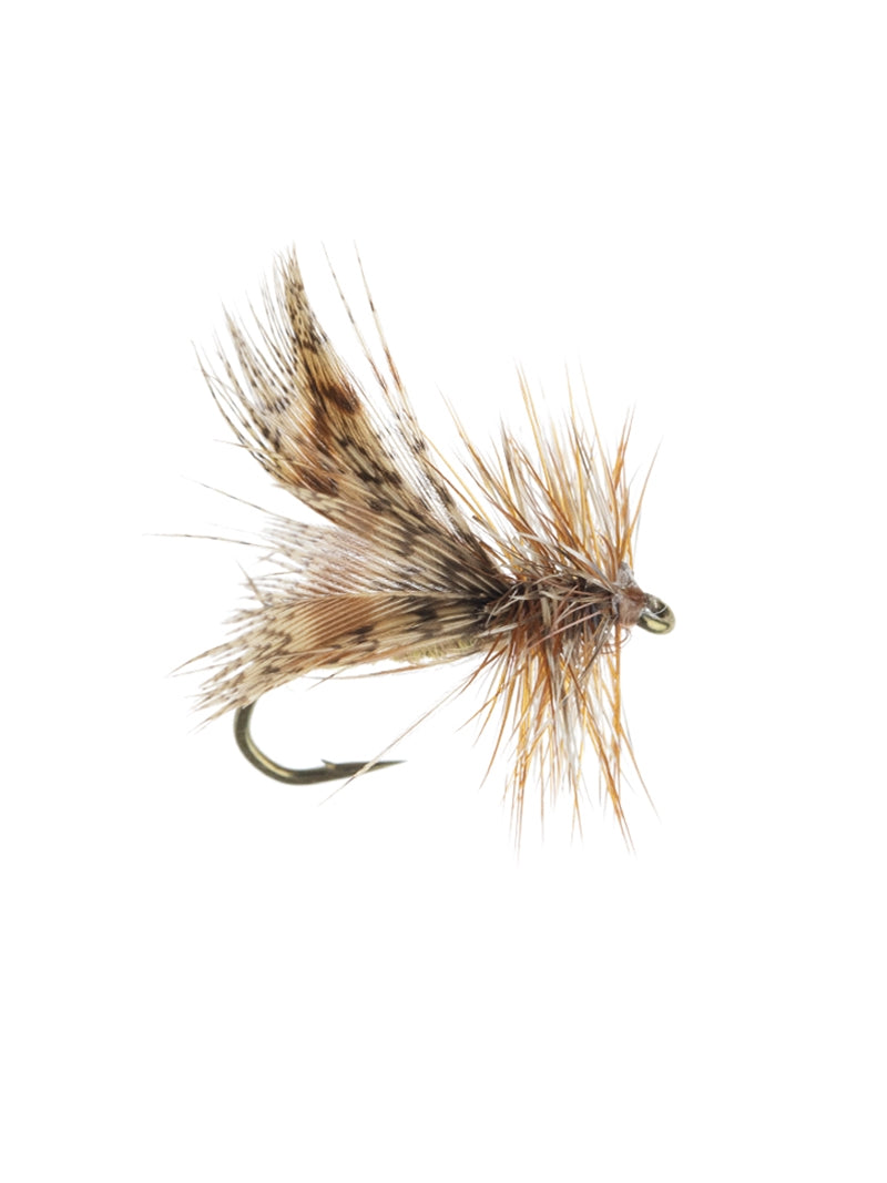 Spent Partridge Caddis