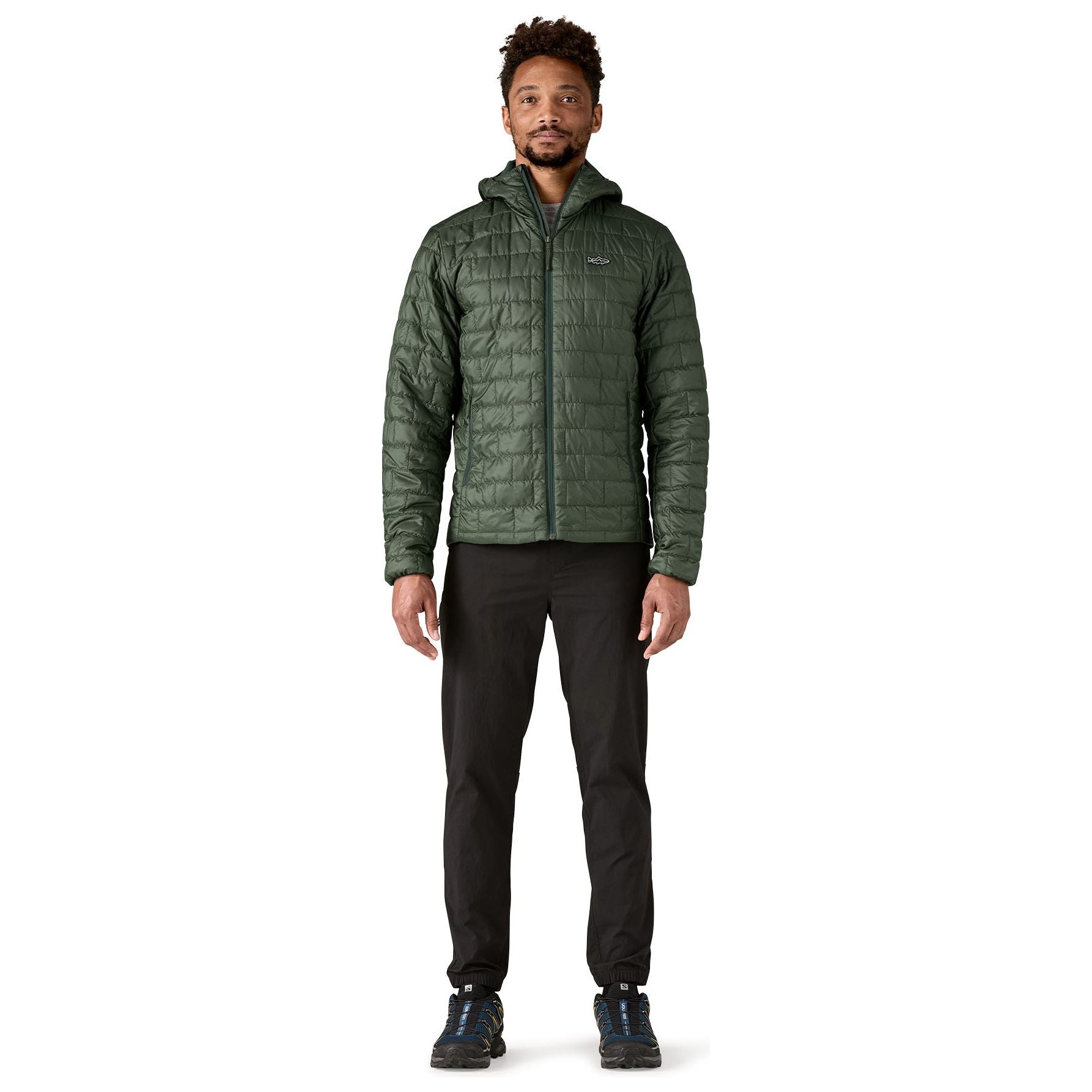 Patagonia Men's Nano Puff Fitz Roy Trout Hoody Old Growth Green Image 02