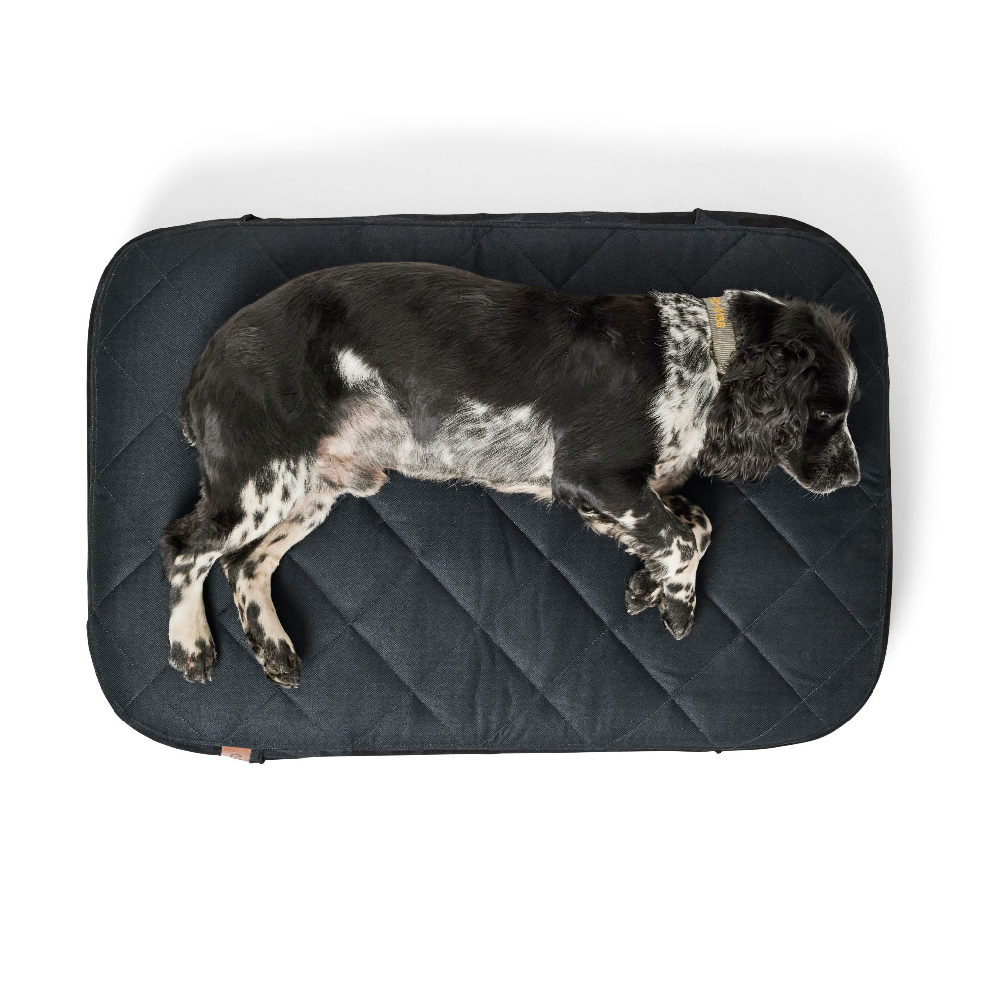 Orvis RecoveryZone Lounger Dog Bed