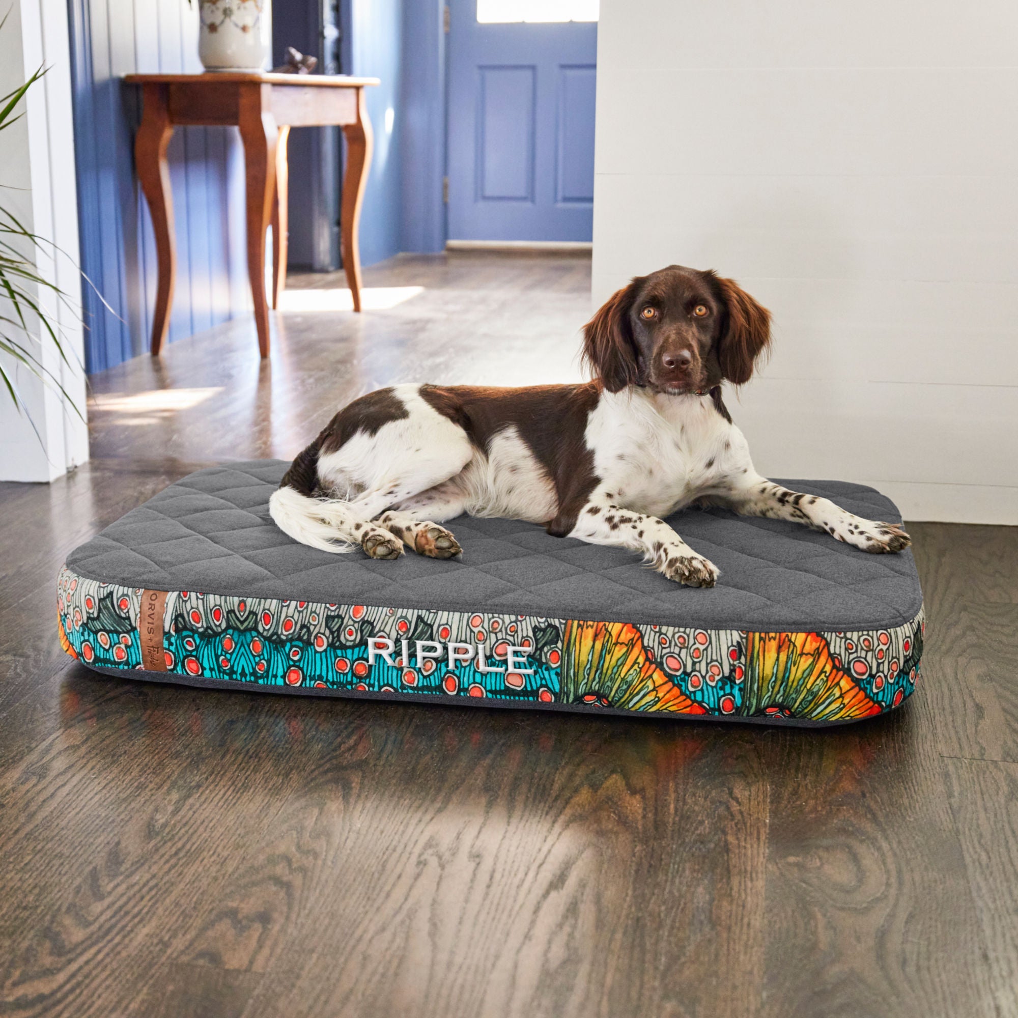 Orvis RecoveryZone Lounger Dog Bed