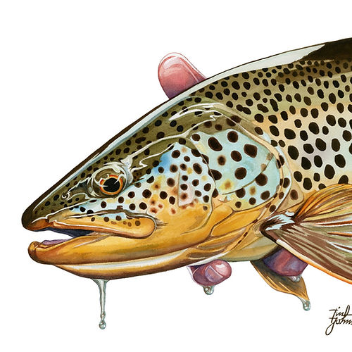 Tim Johnson Greeting Cards