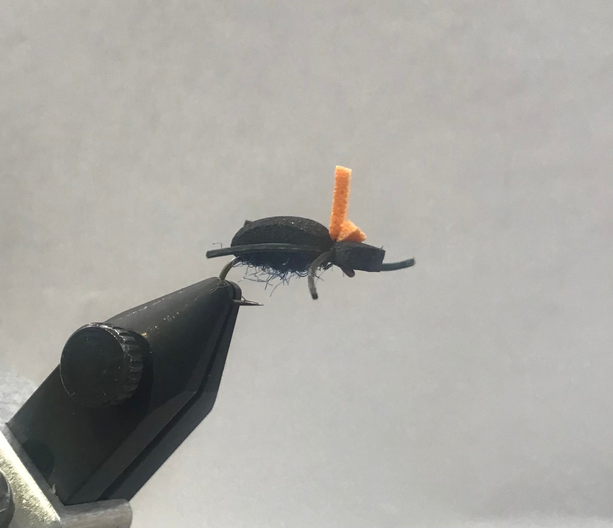 Jake's Gulp Beetle