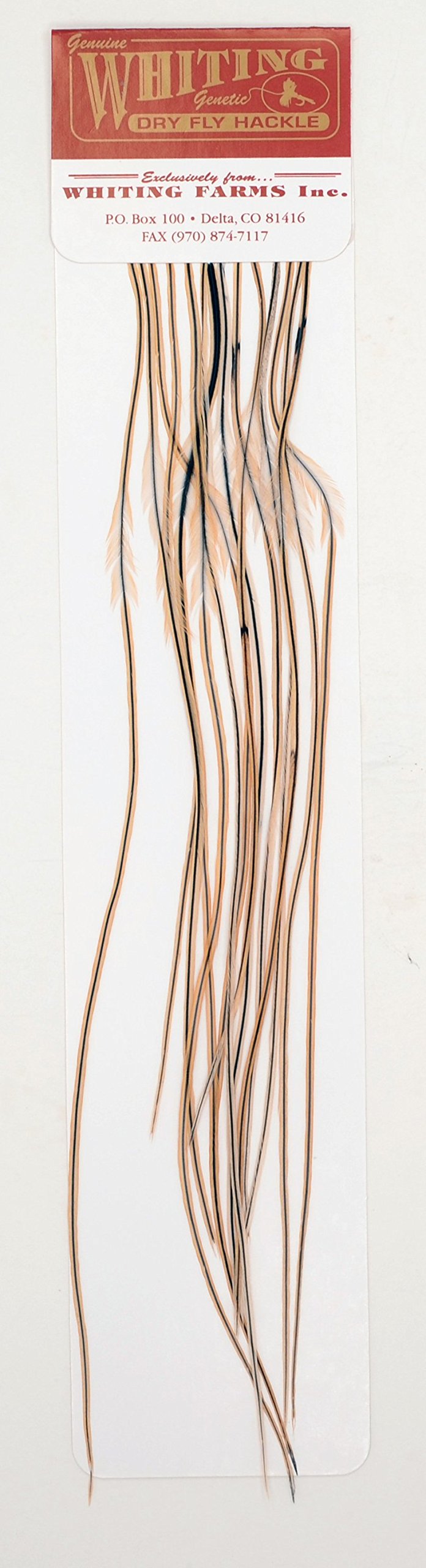 Whiting Farms 100 Pack Saddle Hackle