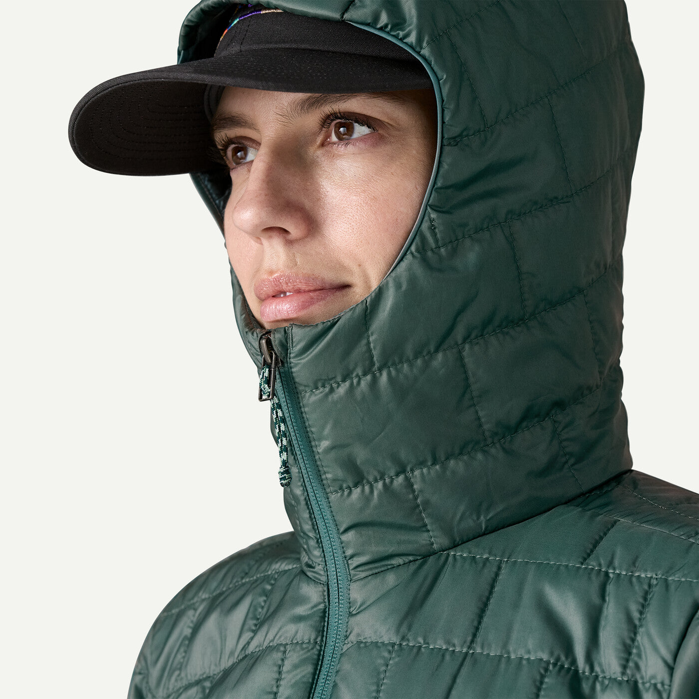 Patagonia Women's Nano Puff Fitz Roy Trout Hoody