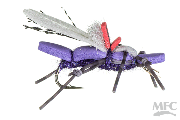 Water Walker Stonefly