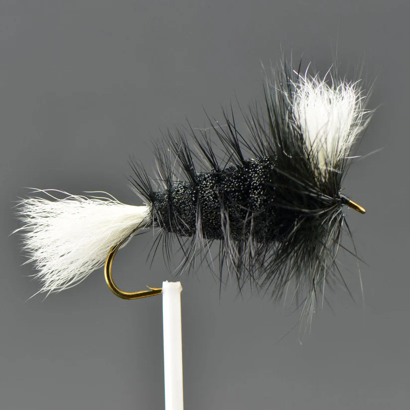 Wulff Bomber