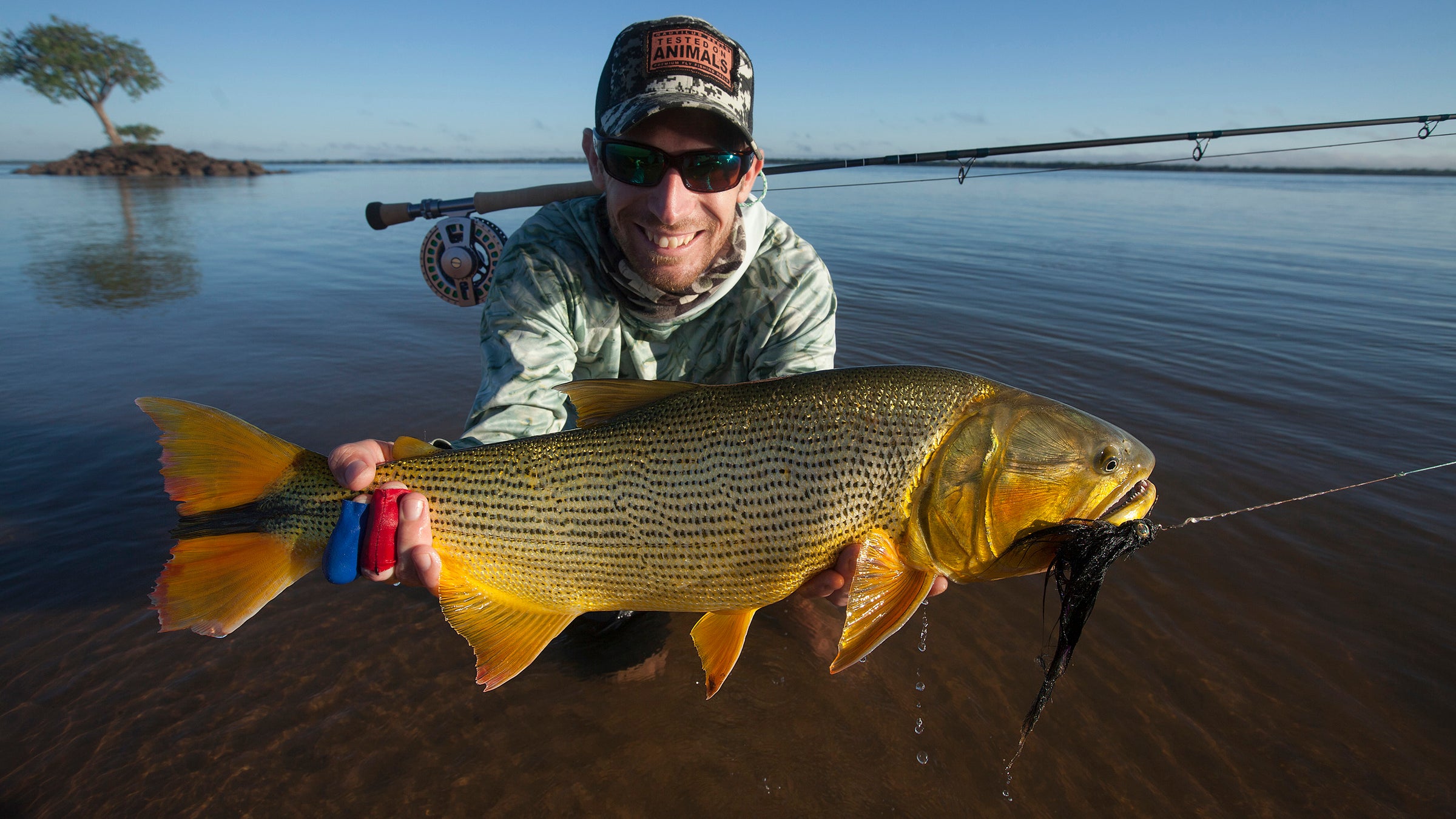 Argentina Golden Dorado – Out Fly Fishing
