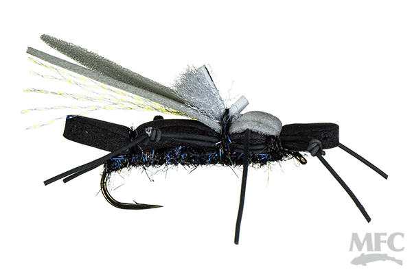 Water Walker Stonefly