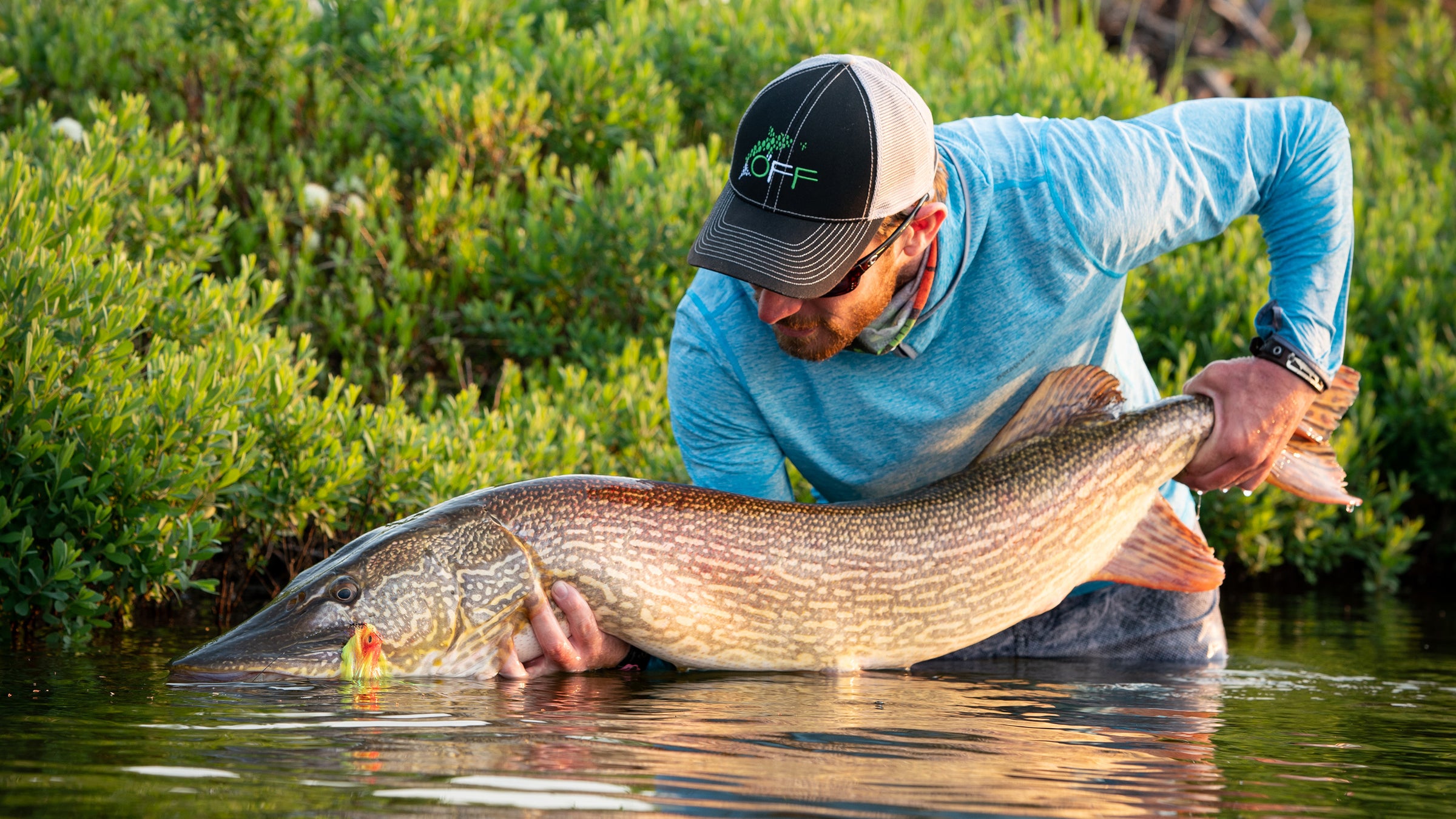 Northern Pike | Solar Hoodie - Fly Fishing Journeys