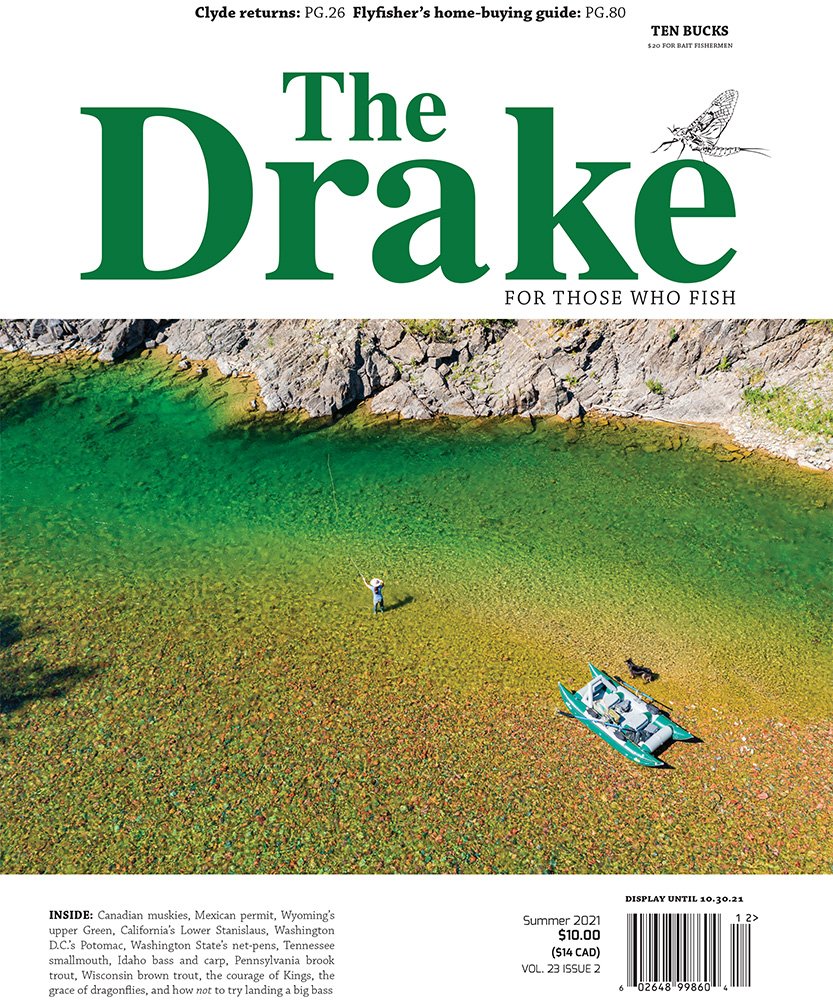 The Drake