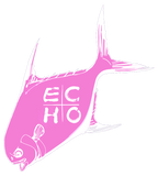 Echo Permit Sticker