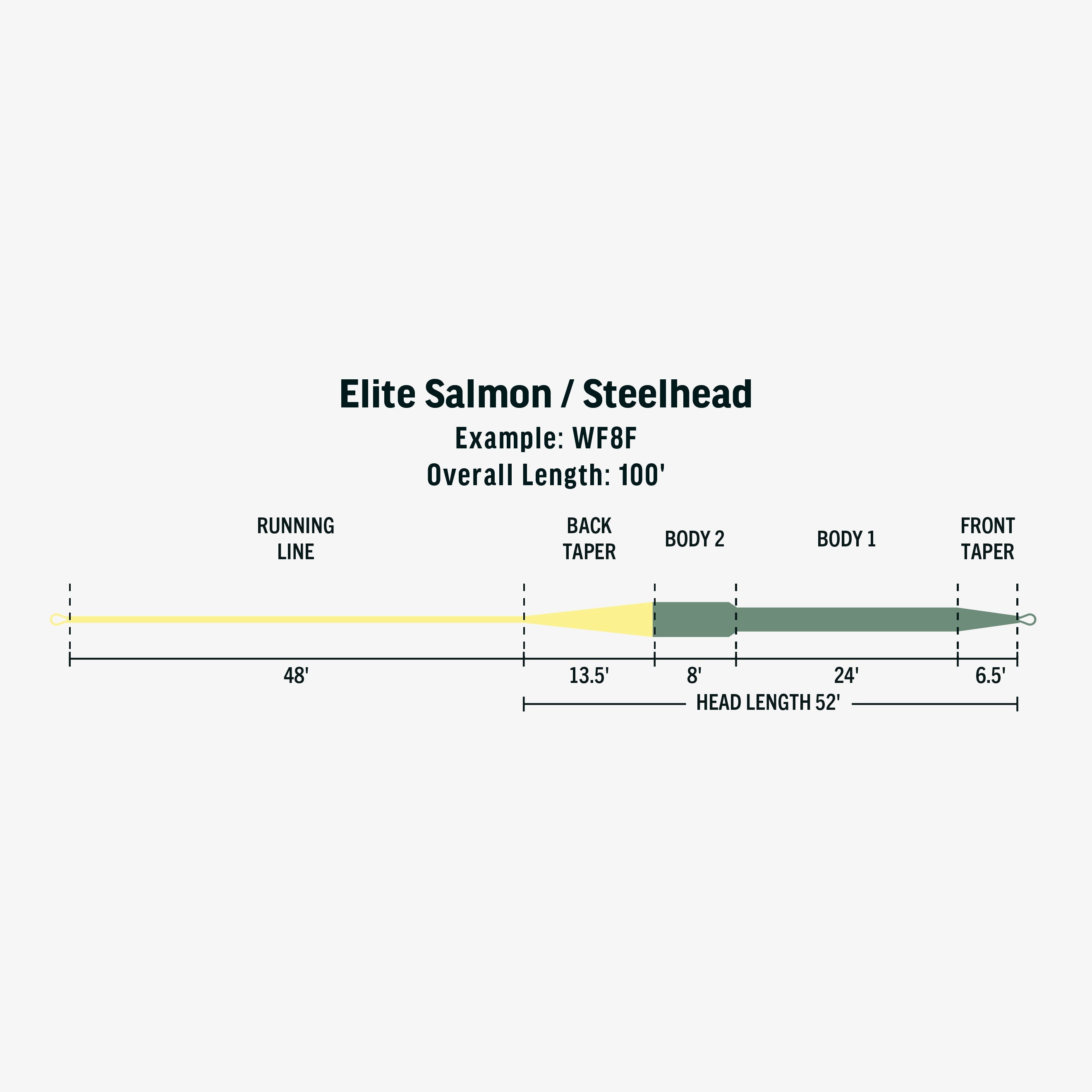 Rio Elite Salmon / Steelhead Fly Line