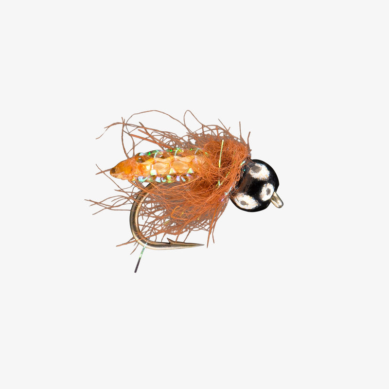 RIO'S PUPA SCOOPA TB