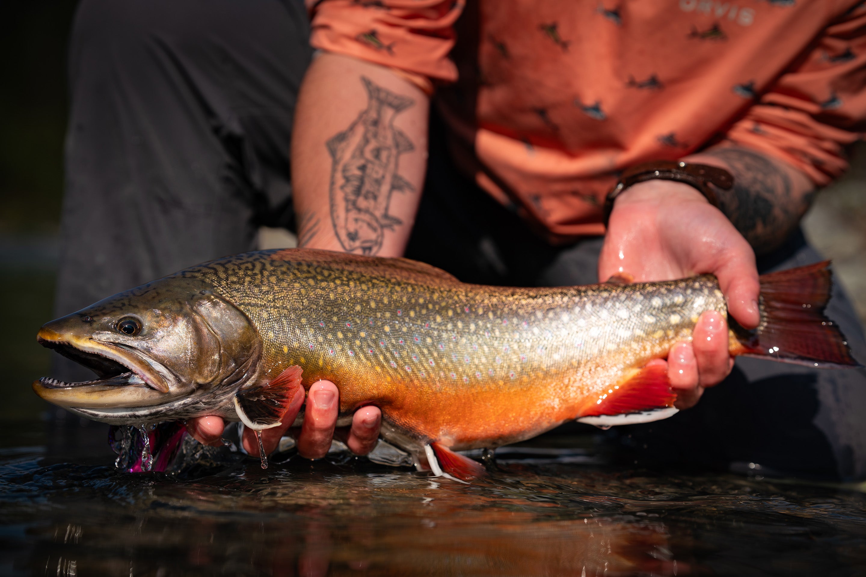 Fishing for Stocked Trout Tactics 101