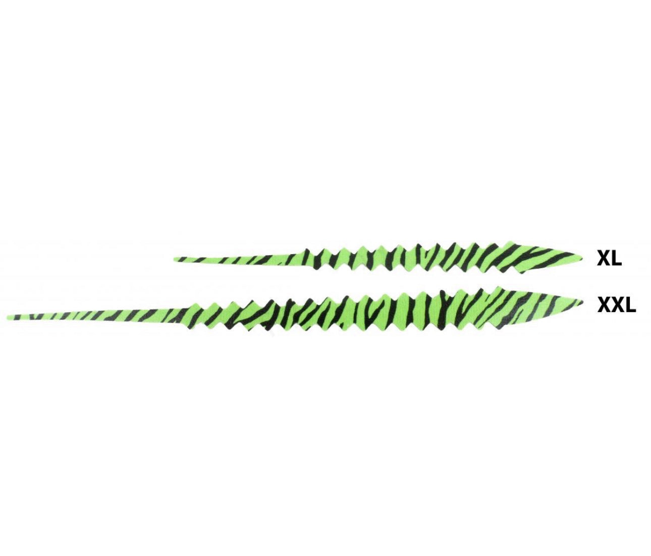 Pacchiarini's Saddle Tails
