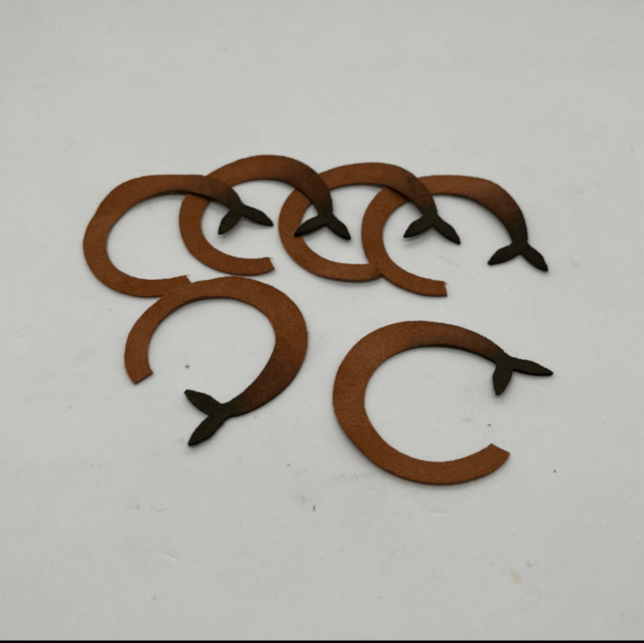 Bear Fly Co Mini Chasin' Tails